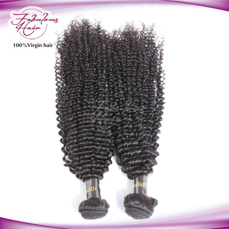 8A Afro Kinky Curly Brazilian Hair Extension Hair