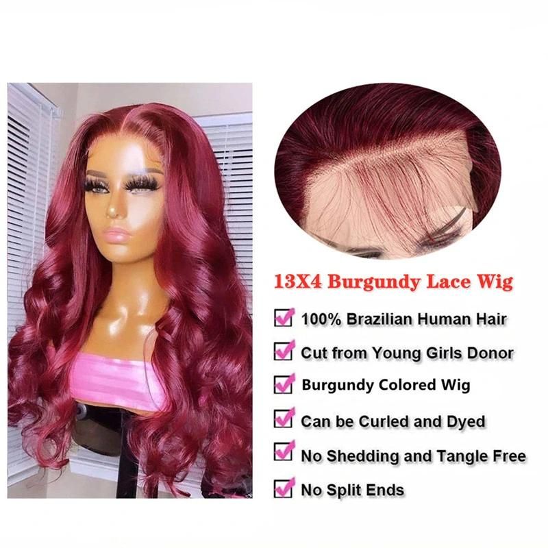 Natural Virgin Brazilian Body Wave HD Lace Human Hair Wig