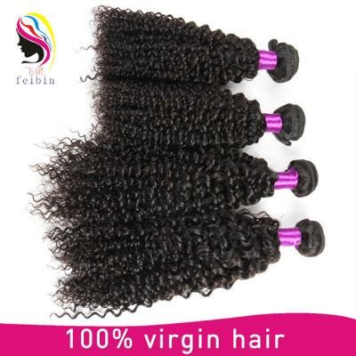 100% Wholesale Brazilian Human Virgin Kinky Culrl Hair Extension