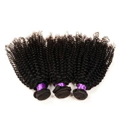 100% Virgin Indian Afro Kinky Curly Hair Hot Sale Afro Kinky Hair Weaving Grade 7A Afro Kinky Human Hair