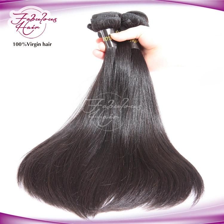Straight Brazilian Virgin Hair Bundles Human Hair Extensions