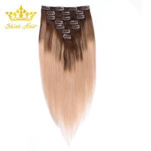 Wholesale Brazilian Virgin/Remy Human Hair Extension of Straight Clip in Extension