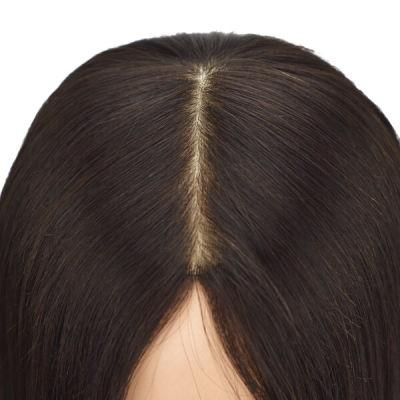 Medical Wig Stock Long Straight Chinese Remy Hair New Times Hair