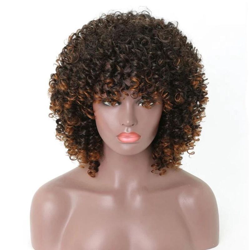 Short Bob Wigs Afro Kinky Curly Wig for Women Brazilian Black Natural Hair Front Lace 4X4 Closure 16 Inches