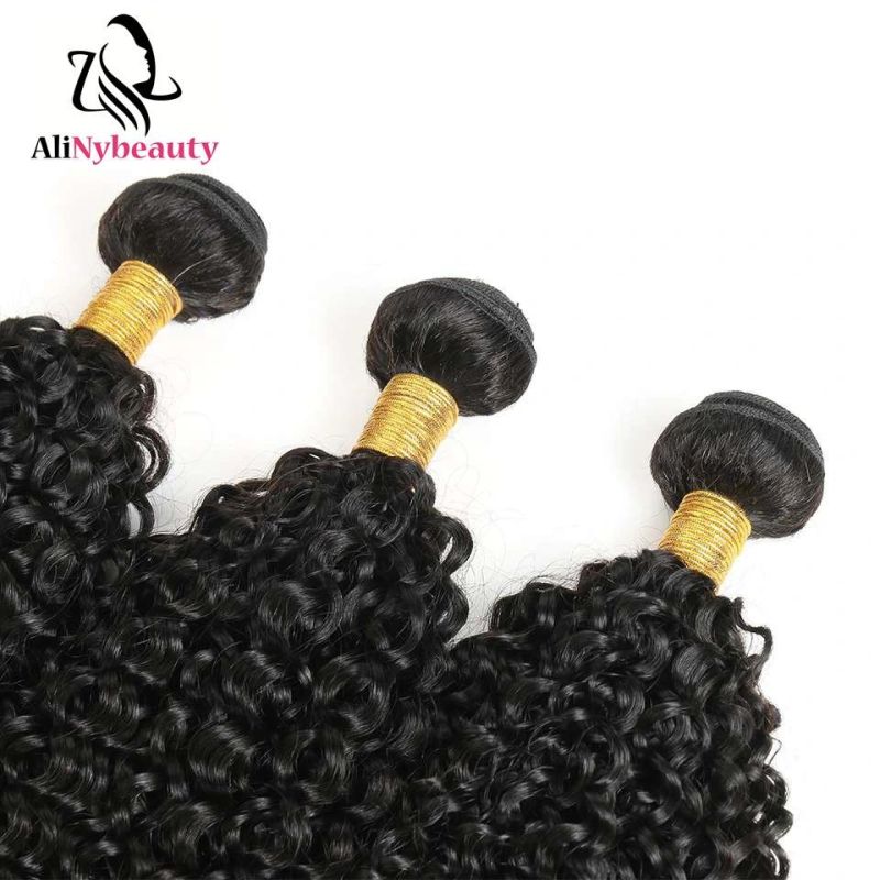 Unprocessed Virgin Brazilian Human Hair Jerry Curly Bundles with Closure