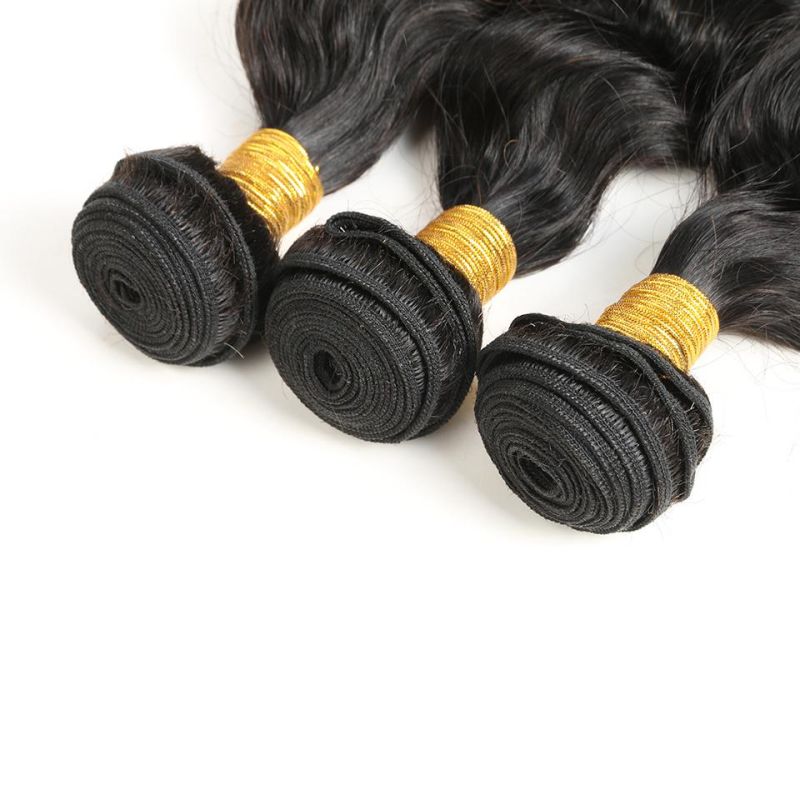 Alinybeauty 100% Raw Brazilian Virgin Loose Deep Wave Human Hair