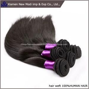 Wholesale Black Brazilian Remy Hair, 100% Human Straight Hair Weave