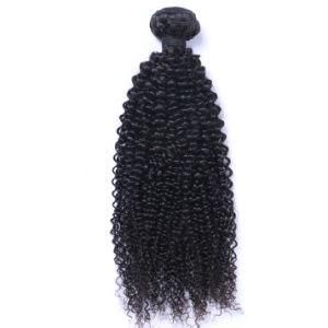 100% Human Hair Bundles Remy Hair Extensions Malaysian Kinky Curly