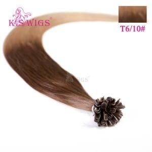 Salon Quality European 100% Remy Human U-Tip Hair Extensions