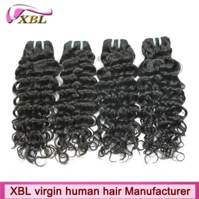 Virgin Hair 10 to 30 Inch Great Lengths Hair Extensions
