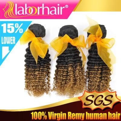 Top Quality Kinky Curl Ombre Human Hair Extensions