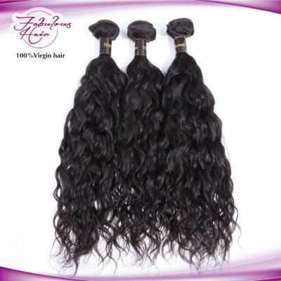 Unprocessed Natural Virgin Hair Brazilian Hair Afro Natural Wave Hair