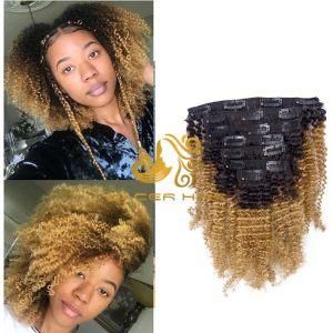 AC27 Strawberry Blonde Afro Kinky Curly 8&quot;-26&quot; Remy Human Hair for Clip in Hair Extension in Stock