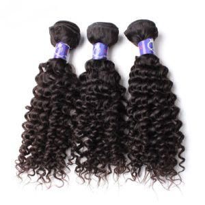 Natural Kinky Curly Malaysian Hair Extension Human Hair