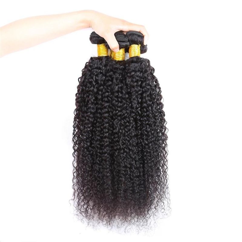 Indian Afro Kinky Curly Bundles Human Hair Extension Natural Color 8-30 Inch Virgin Hair 100% Human Hair Weave Bundles with Closure Remy