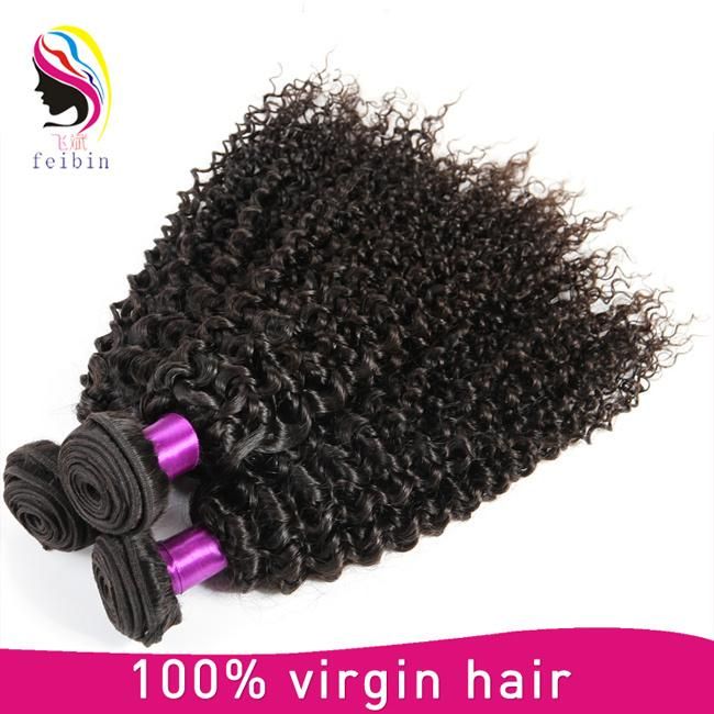 Kinky Curl Wholesale Virgin Raw Brazilian Unprocessed Human Hair Extension
