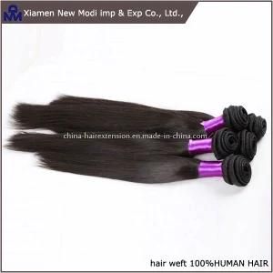 Low Price Great Lengths Hair Extensions Pieces with Top Quality