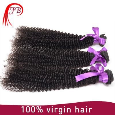 Wholesale Human Hair Extensions Mongolian Kinky Curly Unprocessed
