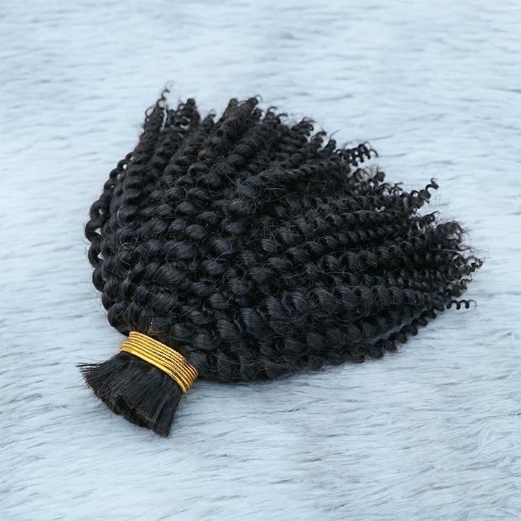 Wholesale Bulk Virgin Hair Raw Indian Human Hair Afro Curly Hair Bulk