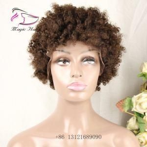 Human Hair Wigs for Black Women Brazilian Remy Virgin Hair Afro Kinky Curly Color 4#