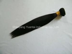 Wholesale Price Unprocessed Virgin 100% Brazilian/Chinese/Indian Human Hair Weft Extension (Weaving Hair Bundle)