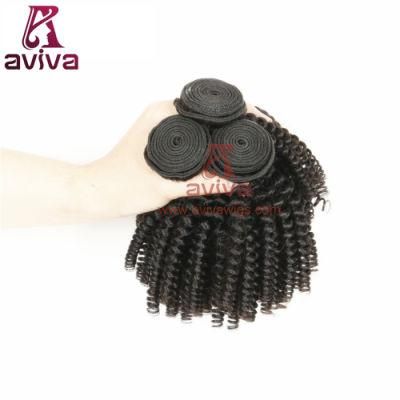 100% Top Quality Brazilian Kinky Curly Virgin Hair