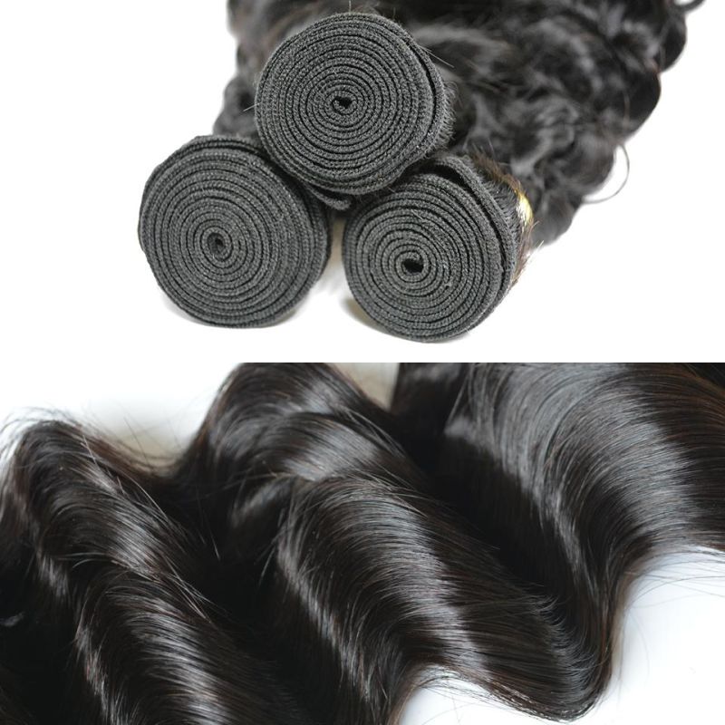 Alinybeauty One Donor Cuticle Aligned Raw Brazilian Virgin Human Hair Loose Wave Hair