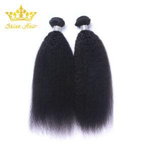 Natural Black Color 100% Human Virgin Hair of Kinky Curly Hair Bundle