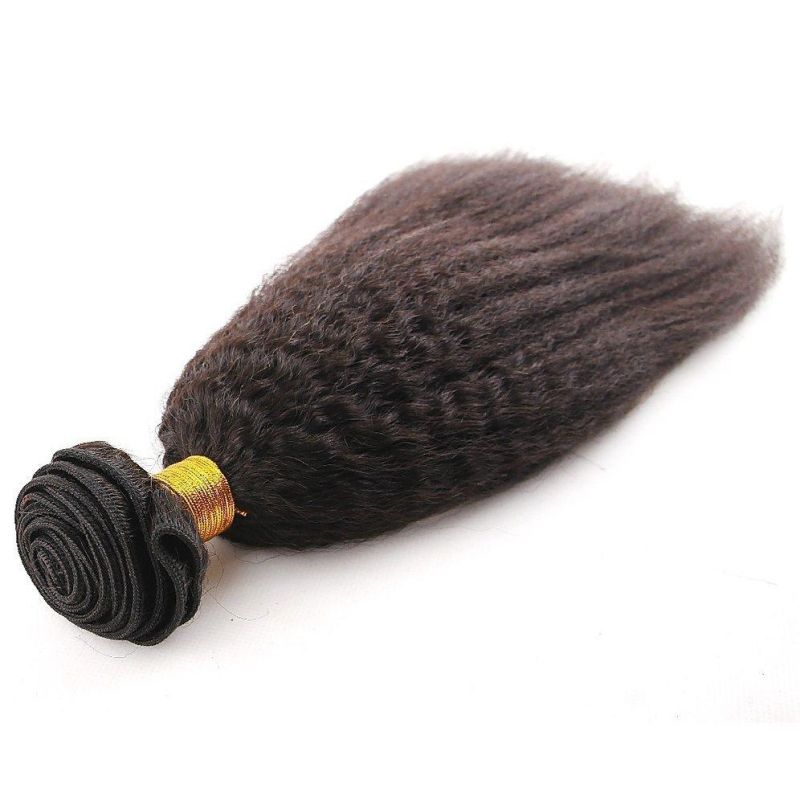 Kinky Straight Brazilian Hair Bundle Raw Indian Remy Hair