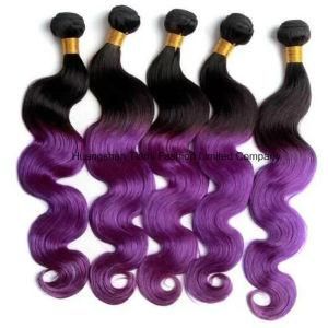 30&quot; 7A Ombre 1b/Purple T4/6 Human Hair Weaving Hair