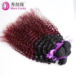 High Recommened 9A Chinese 1b/99j Ombre Double Drawn Remy Hair Products