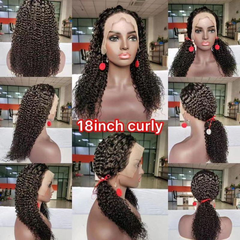 Wigs 100% Human Hair Lace Front Wig