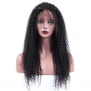 Raw Brazilian Cuticle Aligned Virgin Human Hair Wig
