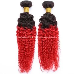 22&quot; Deep Curly Virgin Hair 3bundles Weave Hair 1b/Red