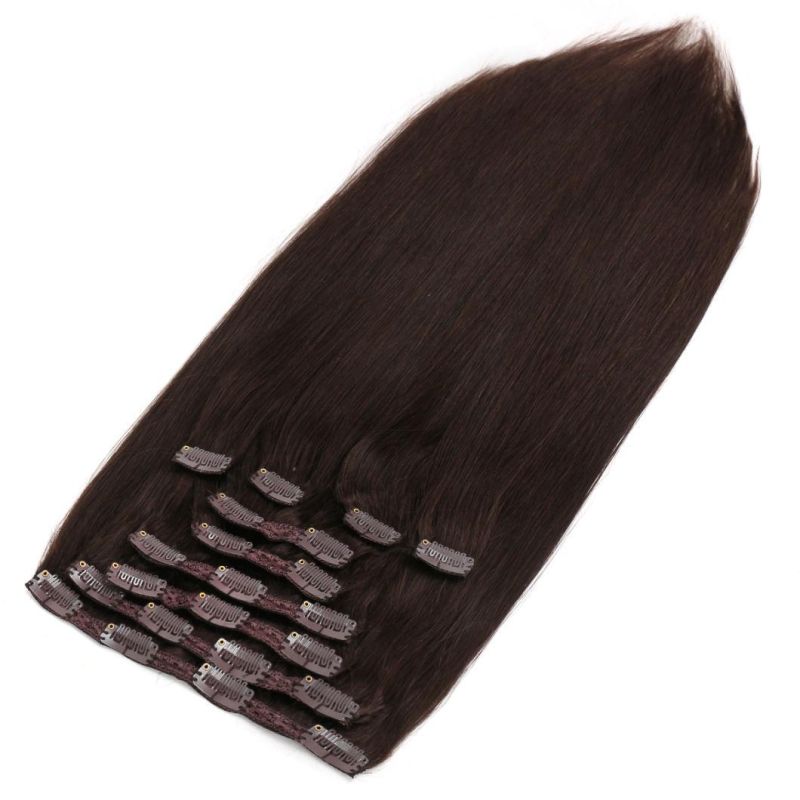 Top Quality Human Hair Hot Sale in USA/Europe Market for Full Head Deluxe Size Clips in Hair Extension