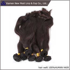 Brazilian Human Hair Weave Free Tangle Human Hair