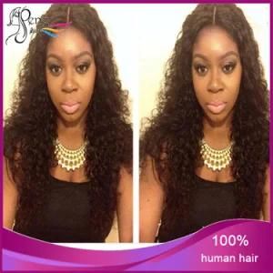 Human Hair Malaysian Virgin Human Hair