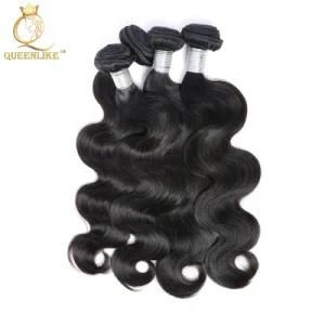 Brazilian Virgin Cuticle Aligned Human Best Hair Extensions