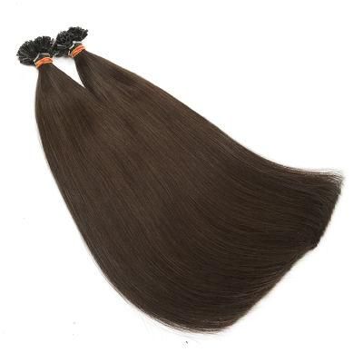 Double Drawn Cuticle Aligned Human Hair U Tip Hair Extension #2