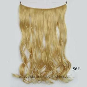 Clip in Hair Extension Fashion Hair Weft Loose Wave Hair Weft Clip Hair