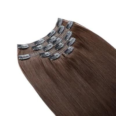 2022 New Products, 100% Human Hair, Lace Clip in Hair Extension.