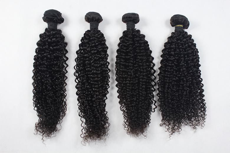 Hair Weft Hot Selling Kinky Curly Hair Weaving Double Machine Weft Human Hair Bundle