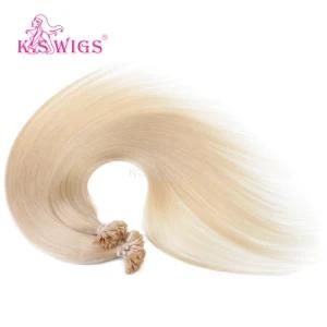 Wholesale High Quanlity Brazilian Virgin Remy U-Tip Hair Extension