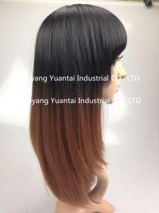Ombre Straight Synthetic Wig for Woman/ Human Hair Feeling