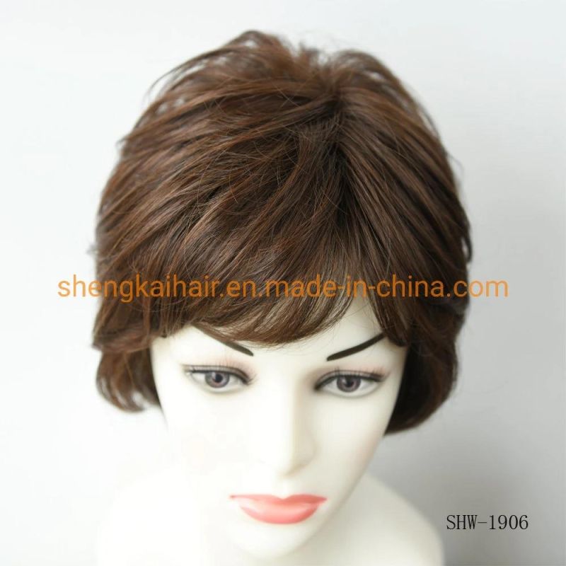 Wholesale Premium Quality Full Handtied Human Synthetic Hair Mixed Medical Use Hair Wigs for Lady