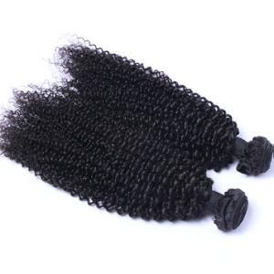Human Hair Extensions Kinky Curly Remy Malaysian Hair Weaving