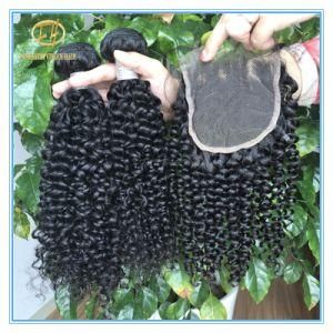 Top Quality Large Stock Natural Color Jerry Curly Brizilian Virgin Hair with Factory Price Wf-005