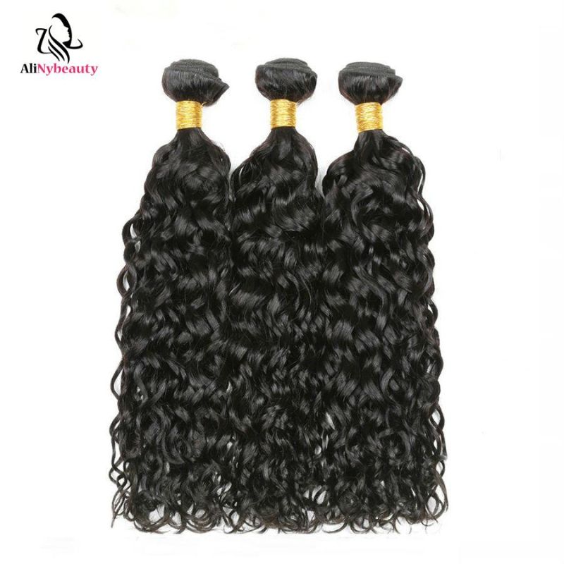 Wholesale Virgin Brazilian Hair Products Water Wave Overnight Delivery