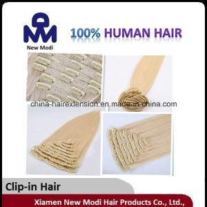 Clip in Human Hair Extension