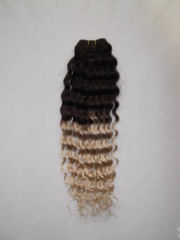 Double Drawn Ombre Color Virgin Remy Human Hair Weft Extension